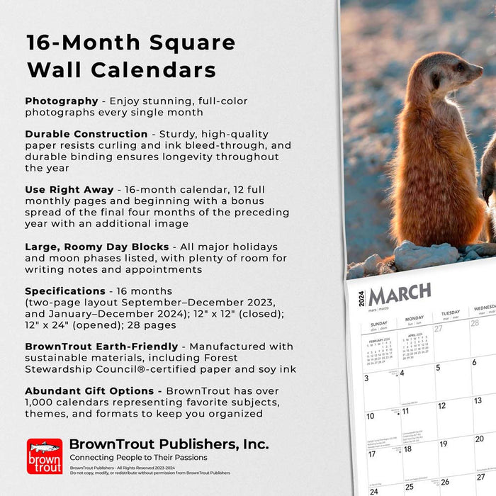 2024 Meerkats Wall Calendar