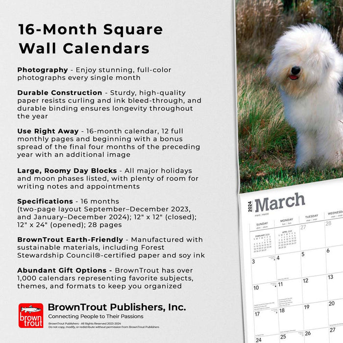 2024 Old English Sheepdogs Wall Calendar