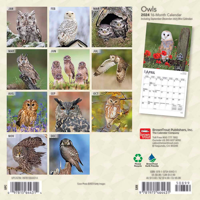 2024 Owls Mini Wall Calendar