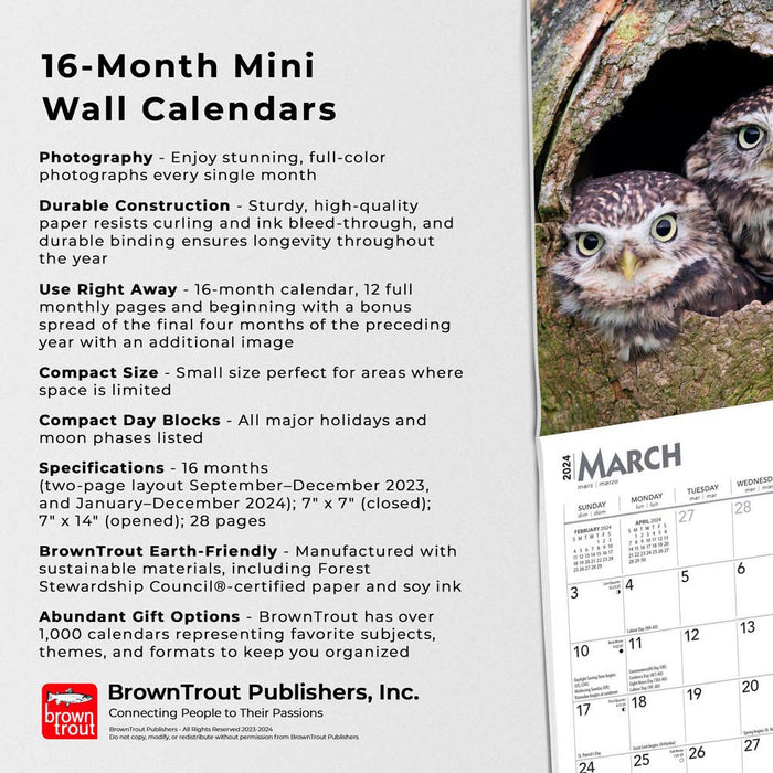 2024 Owls Mini Wall Calendar