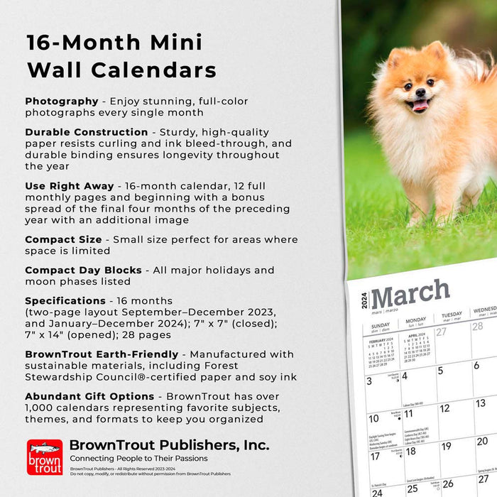 2024 Pomeranians Mini Wall Calendar