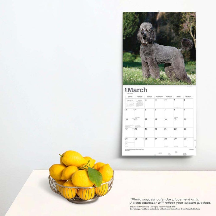 2024 Poodles Wall Calendar