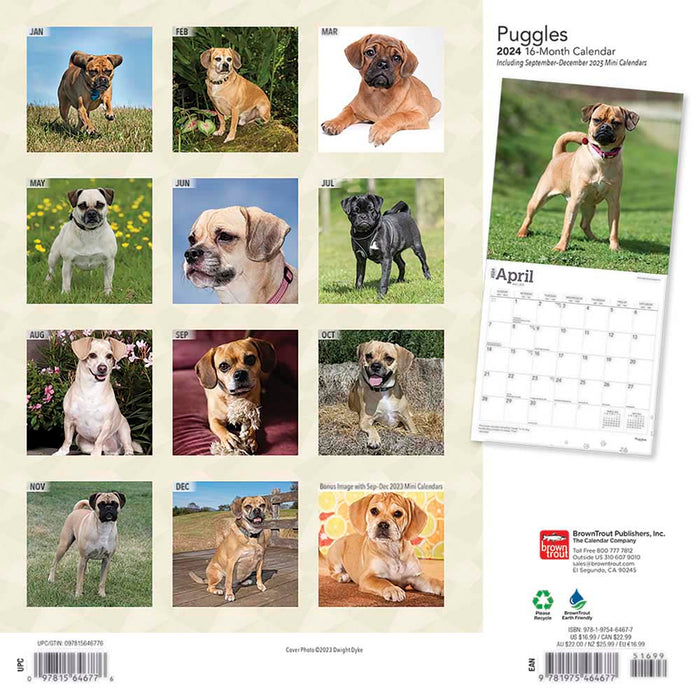2024 Puggles Wall Calendar — Calendar Club