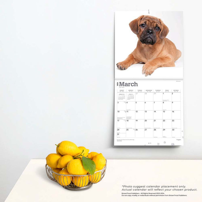 2024 Puggles Wall Calendar — Calendar Club