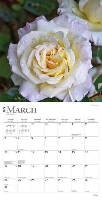 2024 Roses Wall Calendar