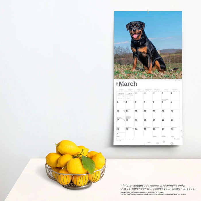 2024 Rottweilers Wall Calendar