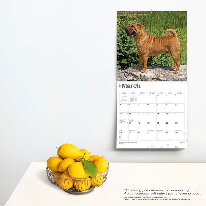 2024 Shar Pei Wall Calendar