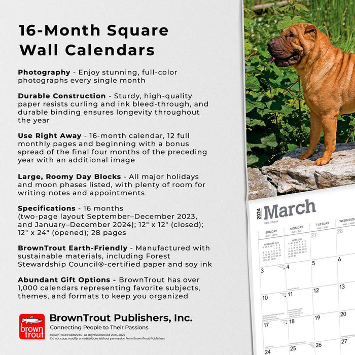 2024 Shar Pei Wall Calendar — Calendar Club