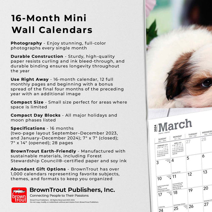 2024 Shih Tzu Puppies Mini Wall Calendar