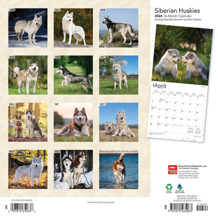2024 Siberian Huskies Wall Calendar