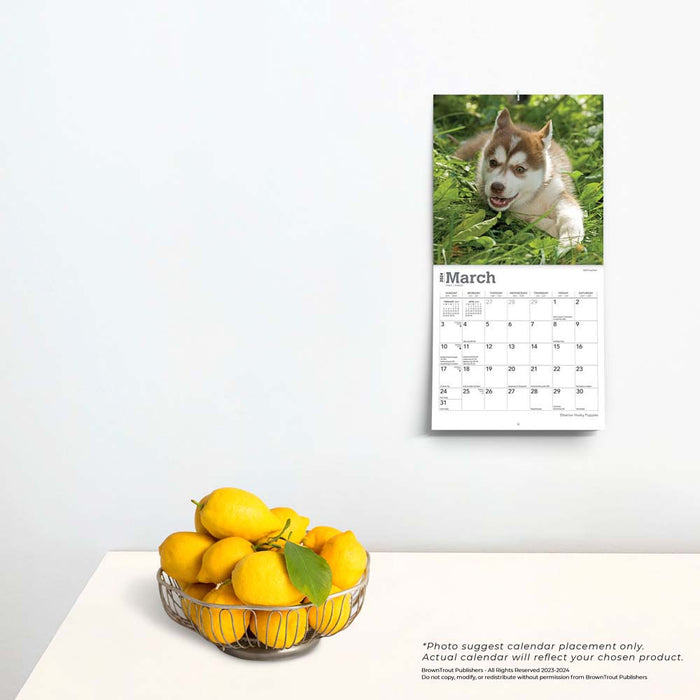 2024 Siberian Husky Puppies Mini Wall Calendar