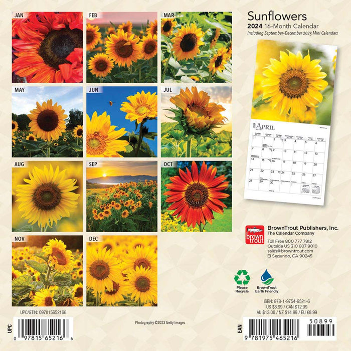 2024 Sunflowers Mini Wall Calendar