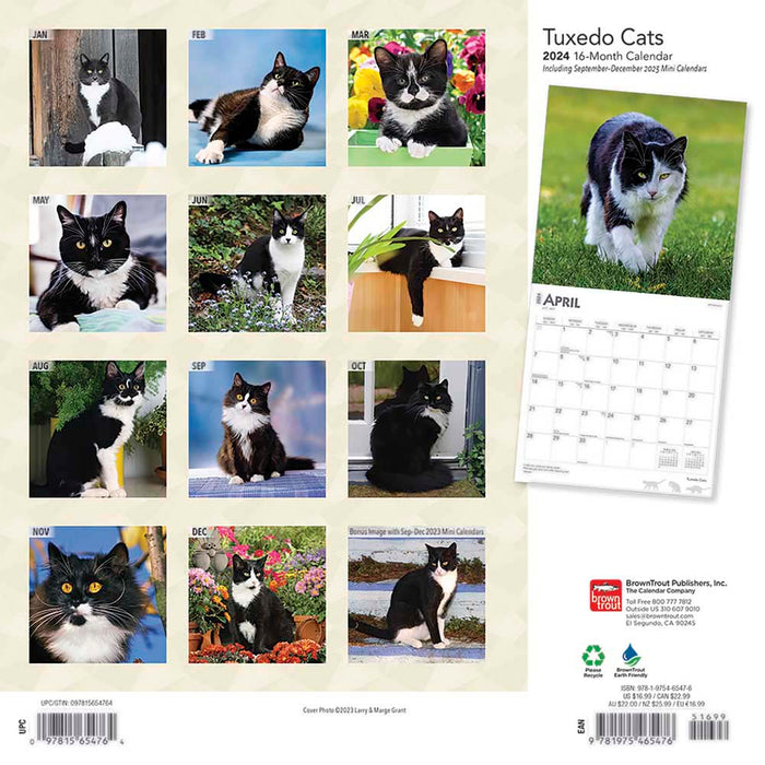 2024 Tuxedo Cats Wall Calendar
