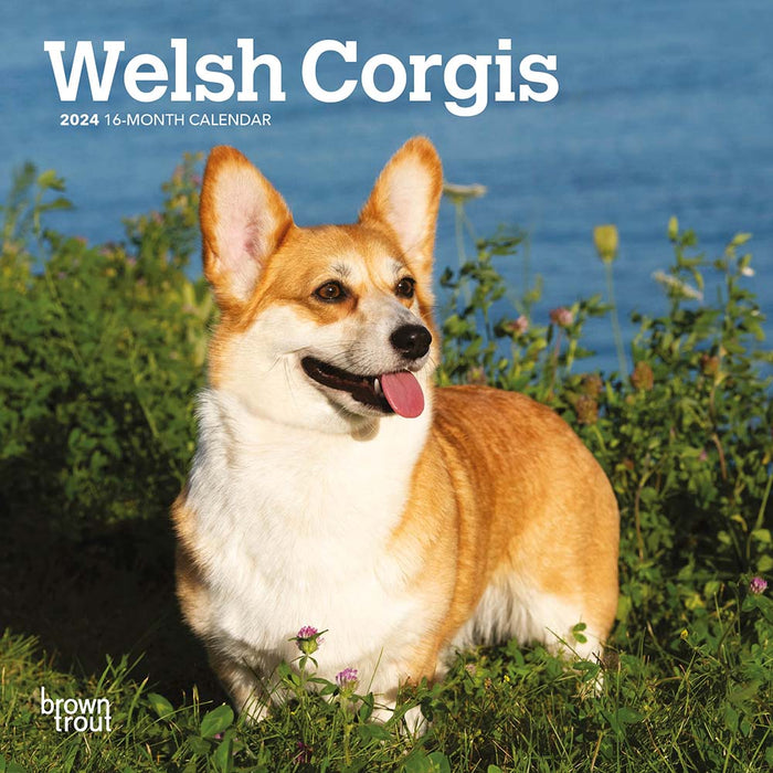 2024 Welsh Corgis Mini Wall Calendar
