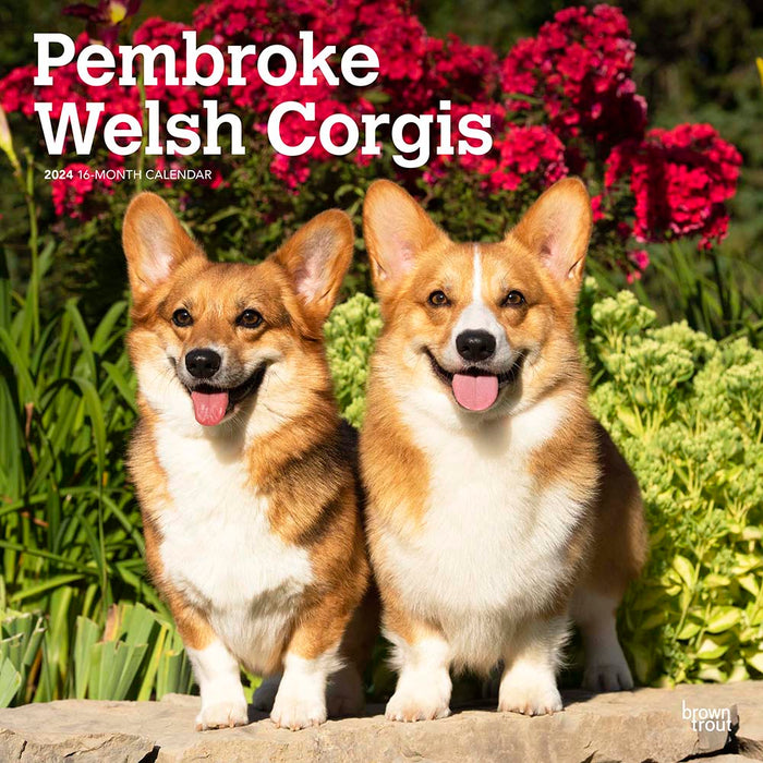 2024 Pembroke Welsh Corgis Wall Calendar