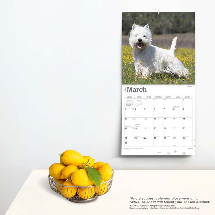 2024 West Highland White Terriers Wall Calendar