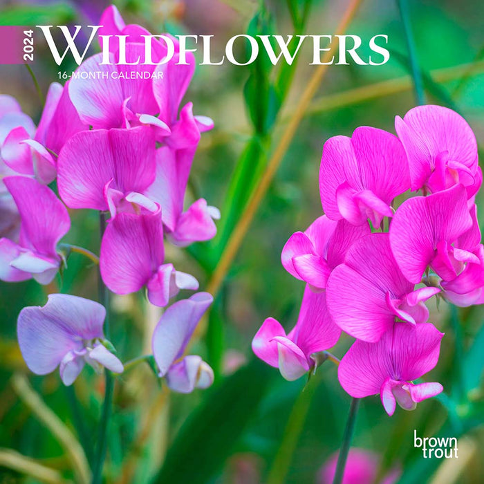 2024 Wildflowers Mini Wall Calendar