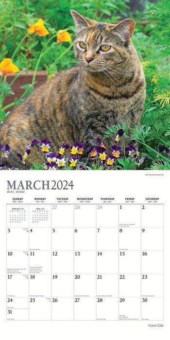 2024 I Love Cats Wall Calendar