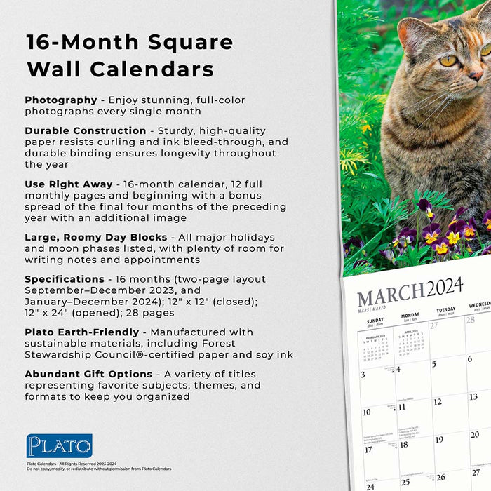 2024 I Love Cats Wall Calendar