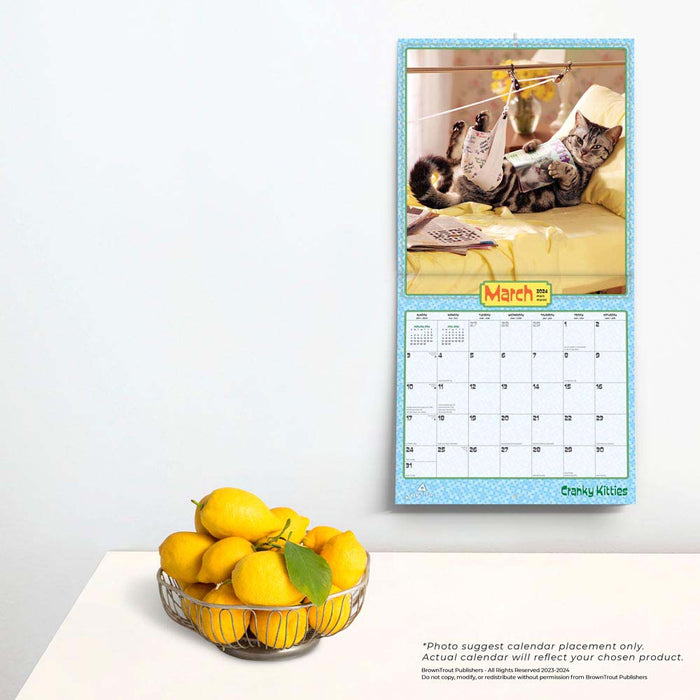 2024 Avanti Cranky Kitties Wall Calendar — Calendar Club