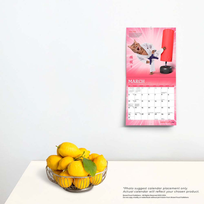 2024 Karate Kats Mini Wall Calendar