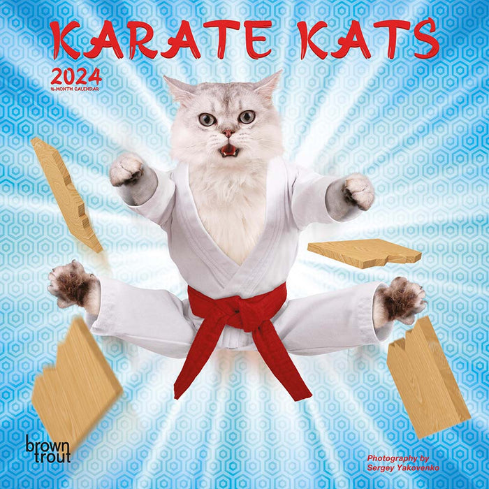2024 Karate Kats Mini Wall Calendar