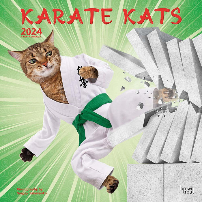 2024 Karate Kats Wall Calendar