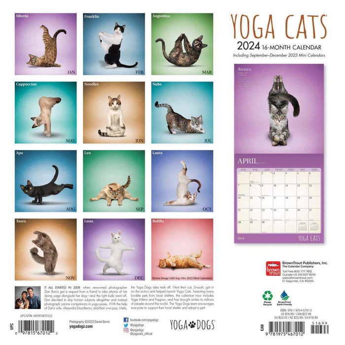 2024 Yoga Cats Wall Calendar