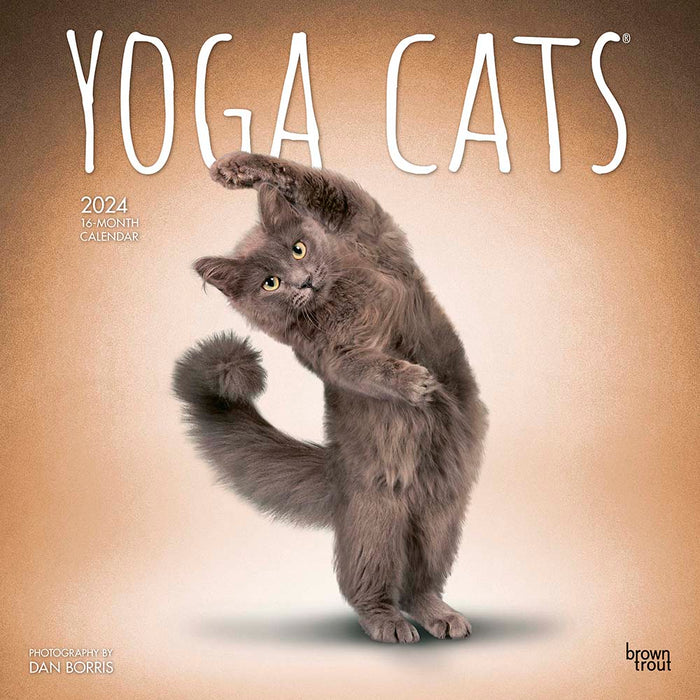 2024 Yoga Cats Wall Calendar