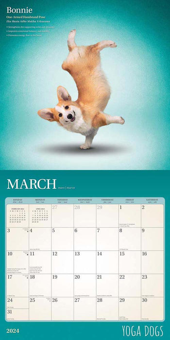 2024 Yoga Dogs Wall Calendar