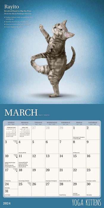 2024 Yoga Kittens Mini Wall Calendar