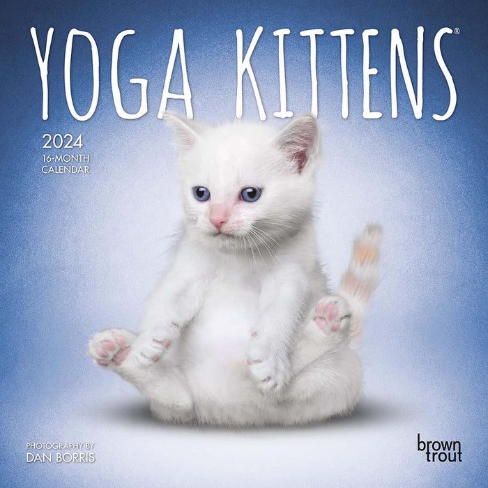 2024 Yoga Kittens Mini Wall Calendar