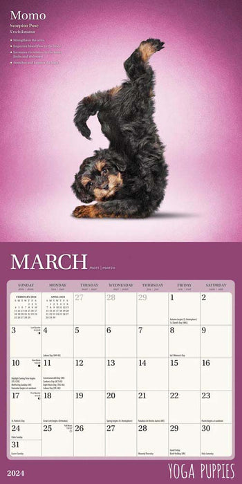 2024 Yoga Puppies Mini Wall Calendar