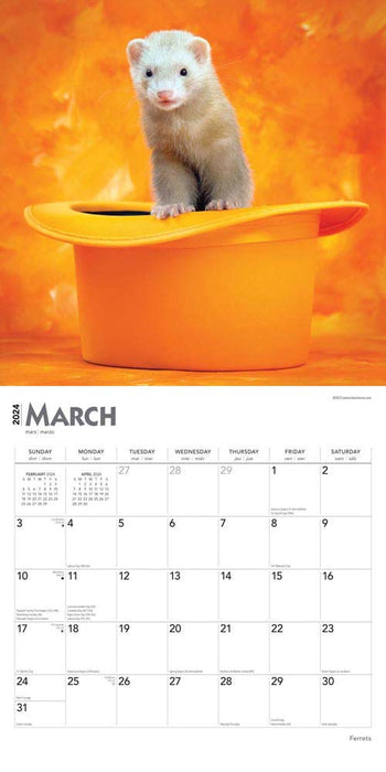 2024 Ferrets Wall Calendar (Online Exclusive)