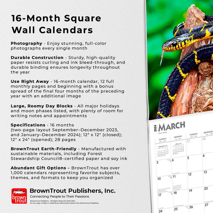 2024 Snakes Wall Calendar Exclusive) — Calendar Club