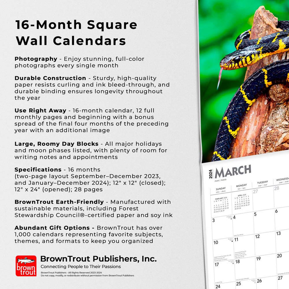 2024 Snakes Wall Calendar Exclusive) — Calendar Club