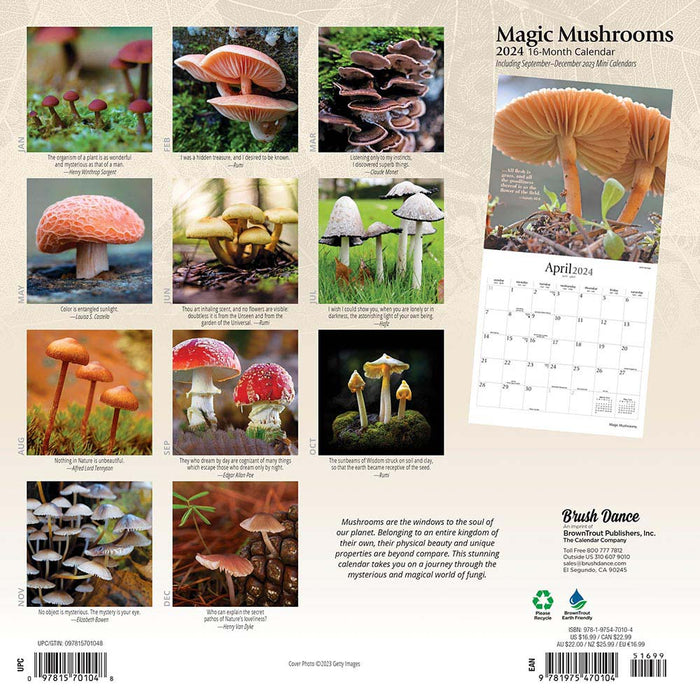 2024 Magic Mushrooms Wall Calendar — Calendar Club