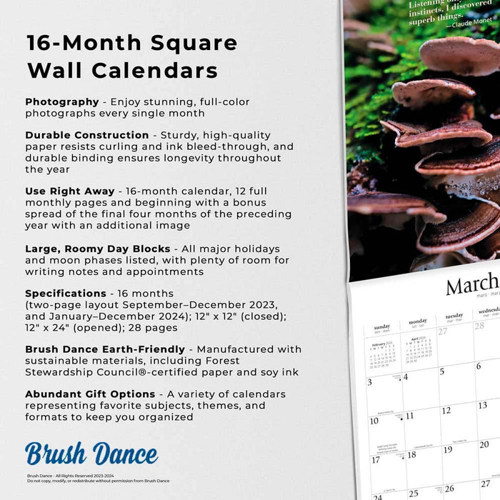2024 Magic Mushrooms Wall Calendar