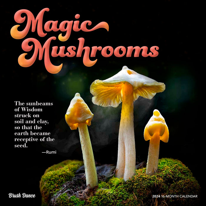 2024 Magic Mushrooms Wall Calendar