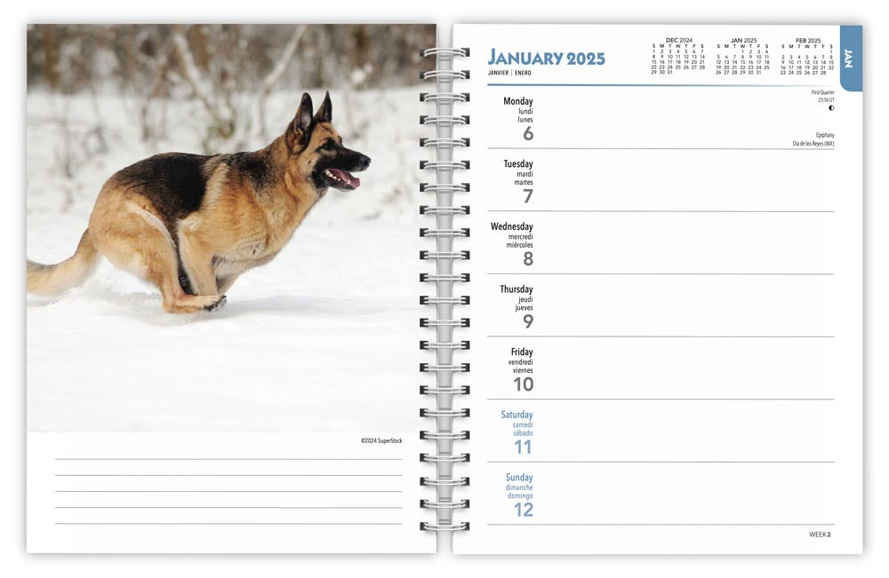 2025 German Shepherds Engagement Diary by  BrownTrout Publishers Inc from Calendar Club