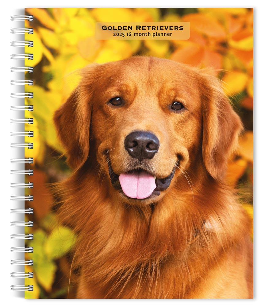 Calendar Club 2025 Golden Retrievers 2025 Engagement Diary