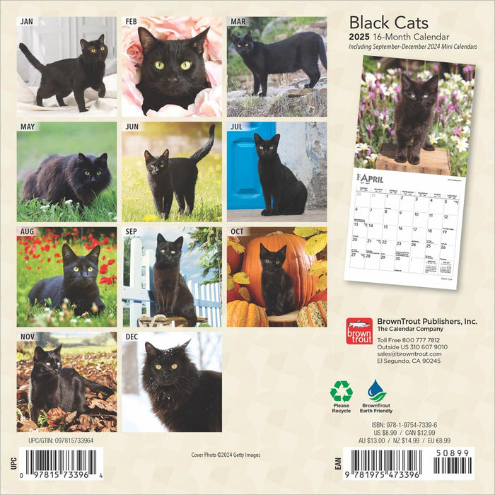 2025 Black Cats Mini Wall Calendar by  BrownTrout Publishers Inc from Calendar Club