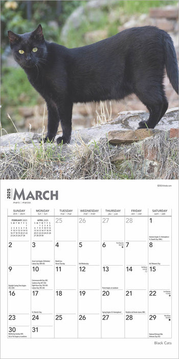 2025 Black Cats Mini Wall Calendar by  BrownTrout Publishers Inc from Calendar Club