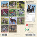 2025 Blue Heelers Mini Wall Calendar by  BrownTrout Publishers Inc from Calendar Club