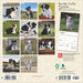 2025 Border Collie Puppies Mini Wall Calendar by  BrownTrout Publishers Inc from Calendar Club