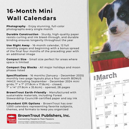 2025 Border Collie Puppies Mini Wall Calendar by  BrownTrout Publishers Inc from Calendar Club