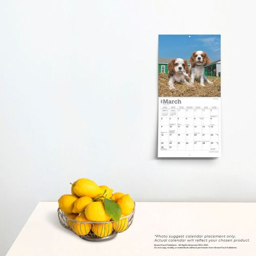 2025 Cavalier King Charles Spaniel Puppies Mini Wall Calendar by  BrownTrout Publishers Inc from Calendar Club