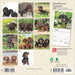 2025 Dachshund Puppies Mini Wall Calendar by  BrownTrout Publishers Inc from Calendar Club