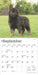 2025 German Shepherd Puppies Mini Wall Calendar by  BrownTrout Publishers Inc from Calendar Club