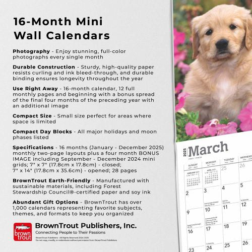 2025 Golden Retriever Puppies Mini Wall Calendar by  BrownTrout Publishers Inc from Calendar Club